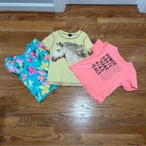 3 t-shirts from different brands. There are two mediums and one large.